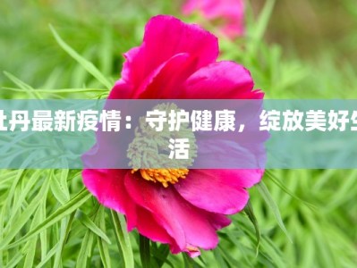 牡丹最新疫情：守护健康，绽放美好生活