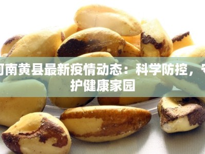 河南黄县最新疫情动态：科学防控，守护健康家园