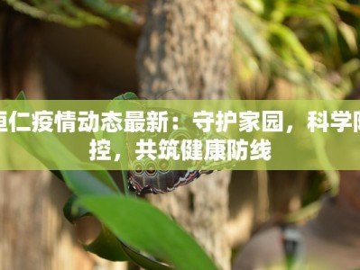 桓仁疫情动态最新：守护家园，科学防控，共筑健康防线