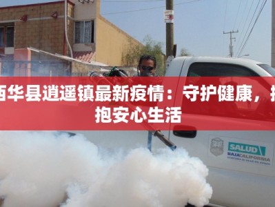 西华县逍遥镇最新疫情：守护健康，拥抱安心生活