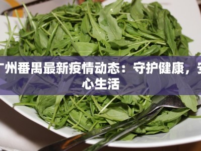 广州番禺最新疫情动态：守护健康，安心生活