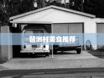 琶洲村美食推荐