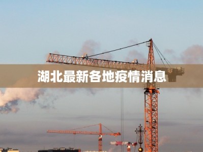 湖北最新各地疫情消息