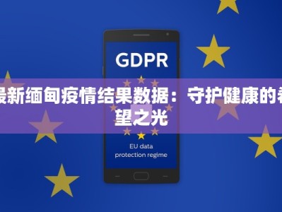 最新缅甸疫情结果数据：守护健康的希望之光