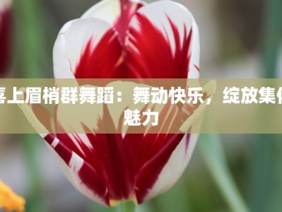 喜上眉梢群舞蹈：舞动快乐，绽放集体魅力