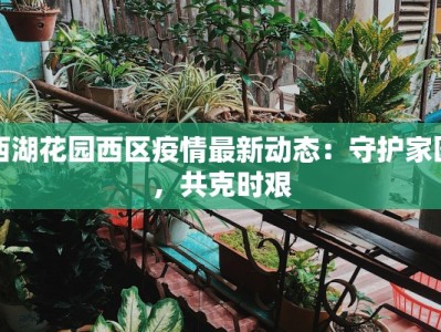 西湖花园西区疫情最新动态：守护家园，共克时艰