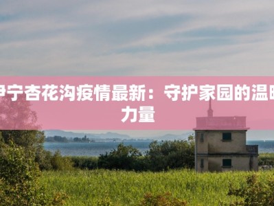 伊宁杏花沟疫情最新：守护家园的温暖力量