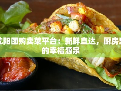 沈阳团购卖菜平台：新鲜直达，厨房里的幸福源泉