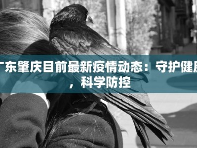 桂平疫情最新消息分布