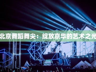 北京舞蹈舞尖：绽放京华的艺术之光