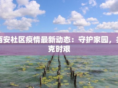 西安社区疫情最新动态：守护家园，共克时艰