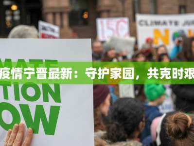 疫情宁晋最新：守护家园，共克时艰