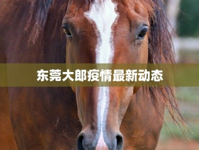 东莞大郎疫情最新动态