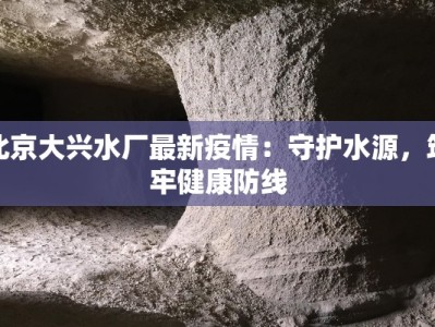 北京大兴水厂最新疫情：守护水源，筑牢健康防线