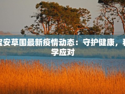 宝安草围最新疫情动态：守护健康，科学应对