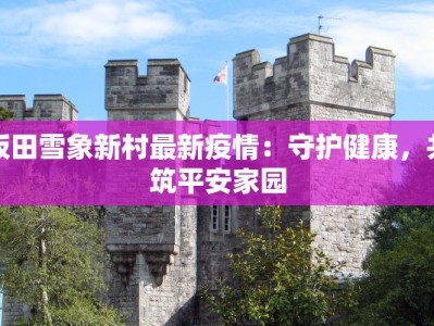 坂田雪象新村最新疫情：守护健康，共筑平安家园