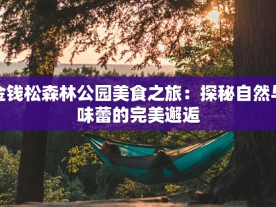 金钱松森林公园美食之旅：探秘自然与味蕾的完美邂逅
