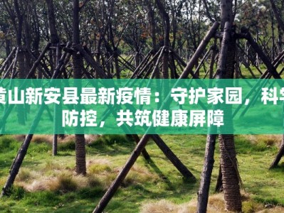 黄山新安县最新疫情：守护家园，科学防控，共筑健康屏障