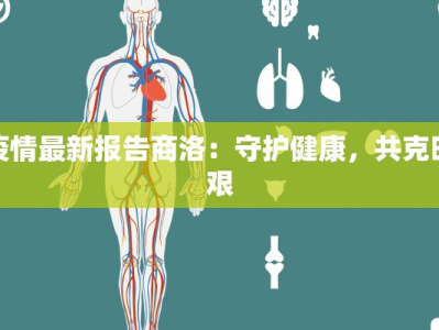 疫情最新报告商洛：守护健康，共克时艰