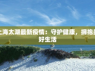 太原市最新疫情入晋：守护健康，科学防控，共筑安全屏障