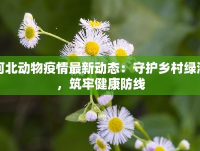 昌平镇疫情最新通告