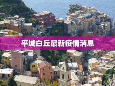 平城白丘最新疫情消息