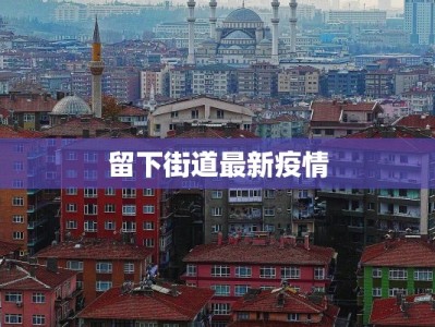 留下街道最新疫情