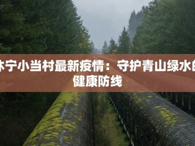 疫情最新客运情况：出行新常态下的智慧之选