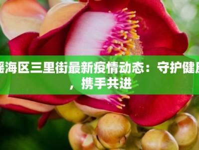 瑶海区三里街最新疫情动态：守护健康，携手共进