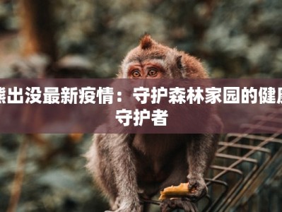 幼儿园百家姓舞蹈：传承经典，舞动童趣