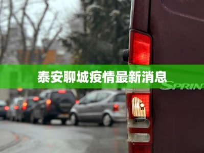 泰安聊城疫情最新消息
