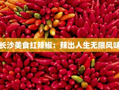 长沙美食红辣椒：辣出人生无限风味
