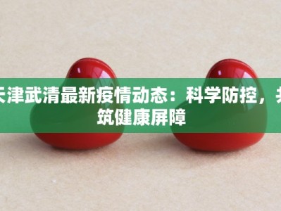 天津武清最新疫情动态：科学防控，共筑健康屏障