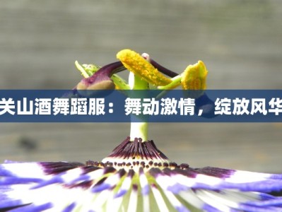 关山酒舞蹈服：舞动激情，绽放风华