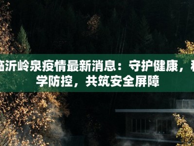 临沂岭泉疫情最新消息：守护健康，科学防控，共筑安全屏障