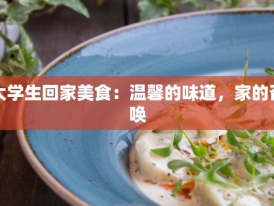大学生回家美食：温馨的味道，家的召唤