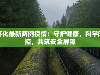 怀化最新两例疫情：守护健康，科学防控，共筑安全屏障