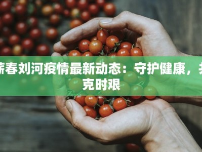 大连昨日最新疫情：科学防控，共筑健康防线