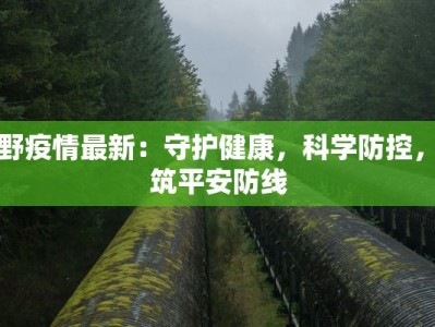 博野疫情最新：守护健康，科学防控，共筑平安防线