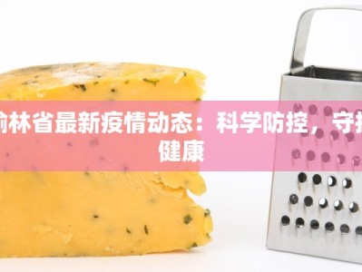 红领巾舞蹈考级：舞动梦想，绽放童心