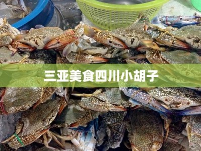 三亚美食四川小胡子