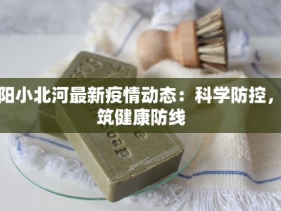 辽阳小北河最新疫情动态：科学防控，共筑健康防线
