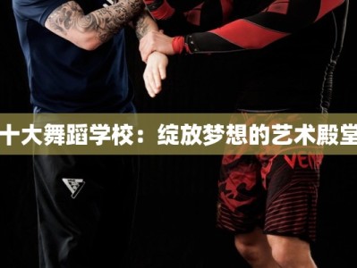 十大舞蹈学校：绽放梦想的艺术殿堂