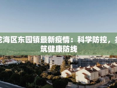 龙海区东园镇最新疫情：科学防控，共筑健康防线