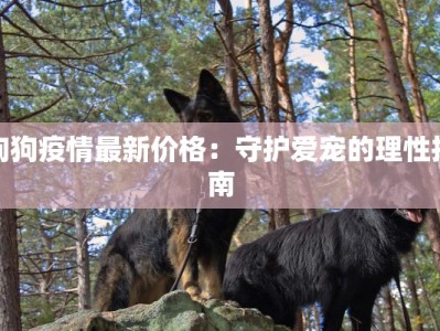 狗狗疫情最新价格：守护爱宠的理性指南