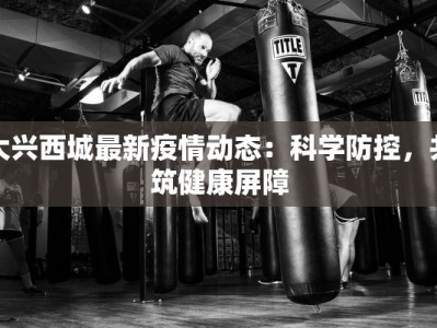 大兴西城最新疫情动态：科学防控，共筑健康屏障
