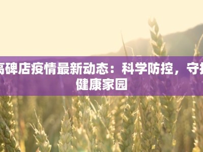 高碑店疫情最新动态：科学防控，守护健康家园