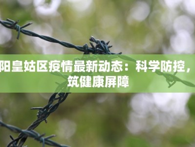 沈阳皇姑区疫情最新动态：科学防控，共筑健康屏障