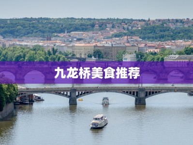 九龙桥美食推荐