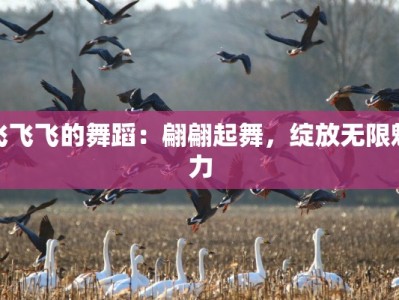 飞飞飞的舞蹈：翩翩起舞，绽放无限魅力